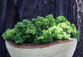 Grünkohl-Kürbis Frittata