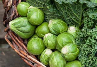 Gebackener Rosenkohl mit Parmesan und Honig