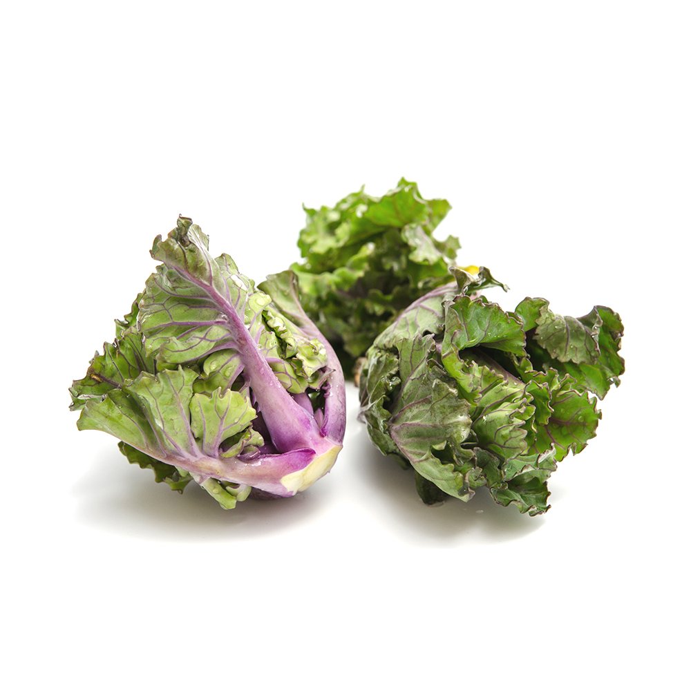 Flower Sprouts Röschen, Kreuzung Rosenkohl x Grünkohl Kohlgemüse