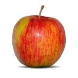 Äpfel Summercrisp, süss sauer