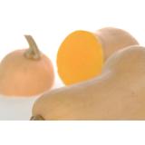 Kürbis, Butternut