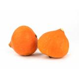 Kürbis, Hokkaido orange-rot
