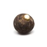 Rettich Schwarz, Winterrettich