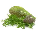 Salat,  Asiasalat im Bund