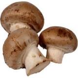 Pilze, Steinchampignons