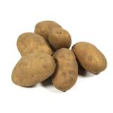 Kartoffel Tüte der Saison 12,5 kg