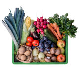 Regionale Obst-und Gemüsekiste 25€