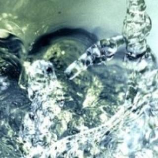 Wasser