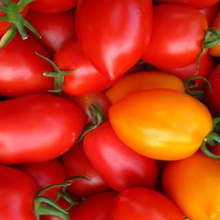 Passata & geschälte Tomaten