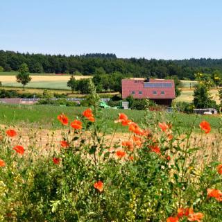 Besonderes aus der Region