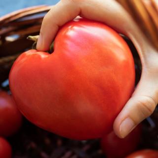 Tomatenmark