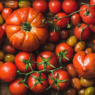 Tomatenprodukte