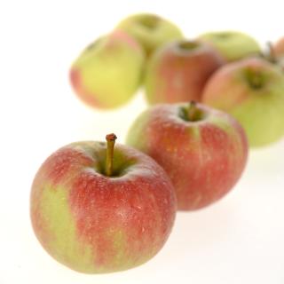 Äpfel Elstar süß, saftig lecker