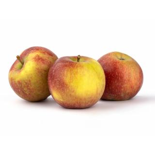 Äpfel Natyra  süß lecker, fest & knackig