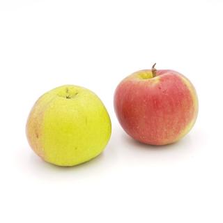 Äpfel Santana süß-sauer  mit wenig Säure; Allergiker Apfel