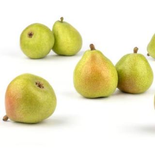 Birnen, Guyot , neue Ernte