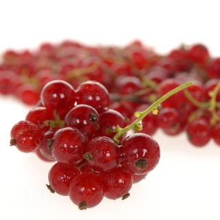 Johannisbeeren rot 250g