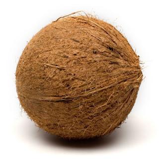 Kokosnuss ca.400g
