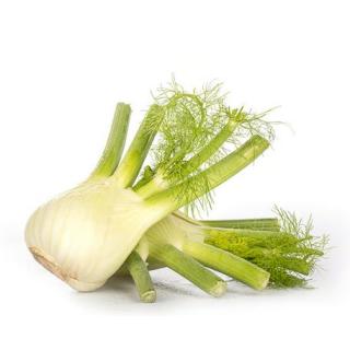Fenchel