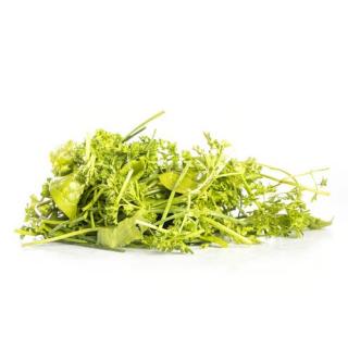 Grüne Soße 200g Vorbesteller für KW14