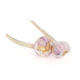 Knoblauch trocken weiß