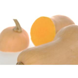 Kürbis, Butternut