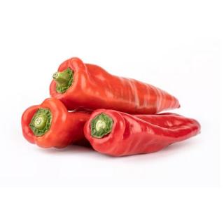 Paprika, rot spitz