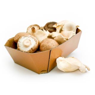 Pilz Mix Körbchen, 250g