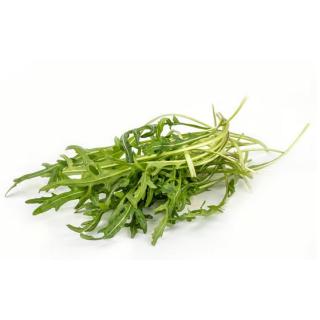 Salat Rucola