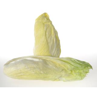 Salat, Zuckerhut ca. 800g/St.
