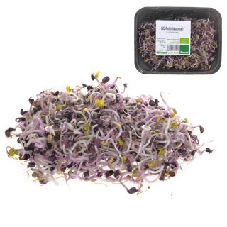 Sprossen, Rettichsprossen rot samenfest, 80g