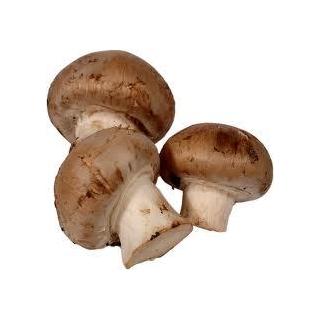 Steinchampignons