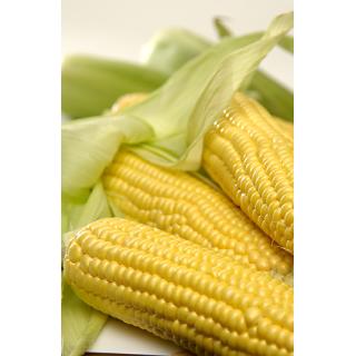 Zuckermais, 2 Stück, vakuum verpackt