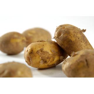 Frühkartoffeln 1kg, festkochend
