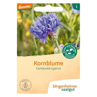 Saatgut  Kornblume blau