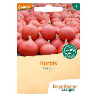 Saatgut  Kürbis Hokkaido