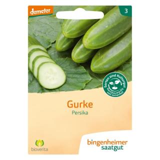 Saatgut  Gurke Persika