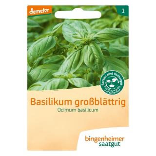 Saatgut  Basilikum großblättrig