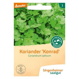 Saatgut  Koriander