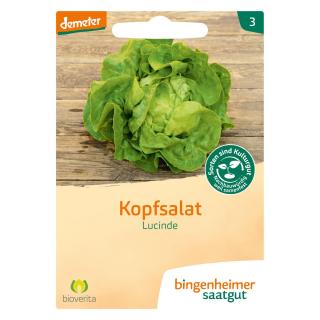 Saatgut  Kopfsalat Lucinde Saatgut