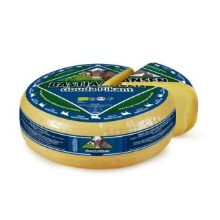 Gouda mittelalt N 48%