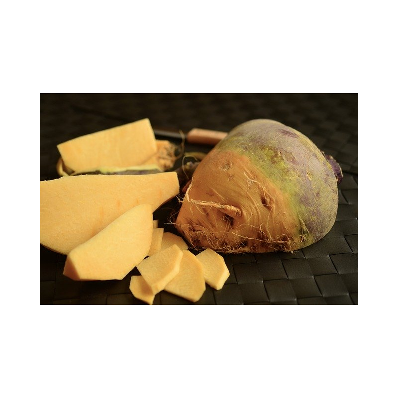 Winterlicher Steckrübeneintopf