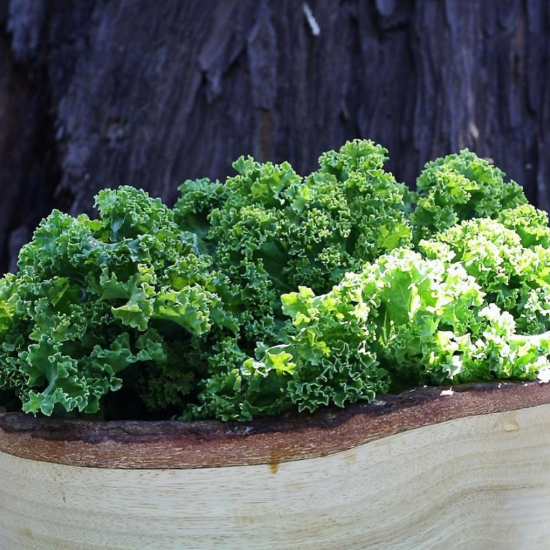 Grünkohl-Kürbis Frittata