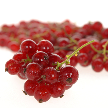 Johannisbeeren rot 250g