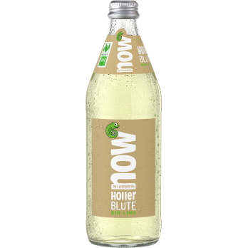 -GV-   10x0,5 l    now   Holler Blüte