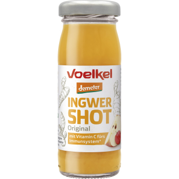 -GV-  8 x 95 ml      Shot Ingwer