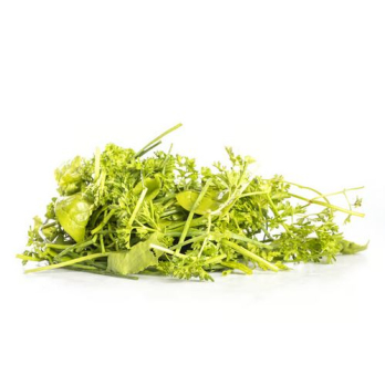 Grüne Soße 200g Vorbesteller für KW14