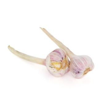 Knoblauch trocken weiß