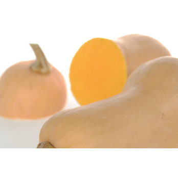 Kürbis, Butternut