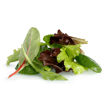 Salat, Wintersalatmix, z.B. Postelein, Rote Beete Blätter, Barbarakraut